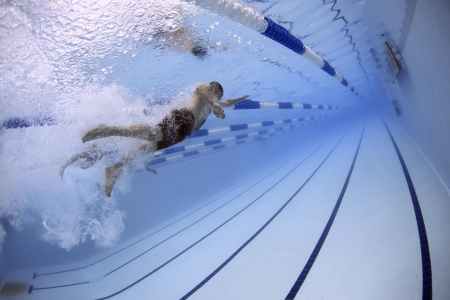 swimmers-swimming-race-competition-56837